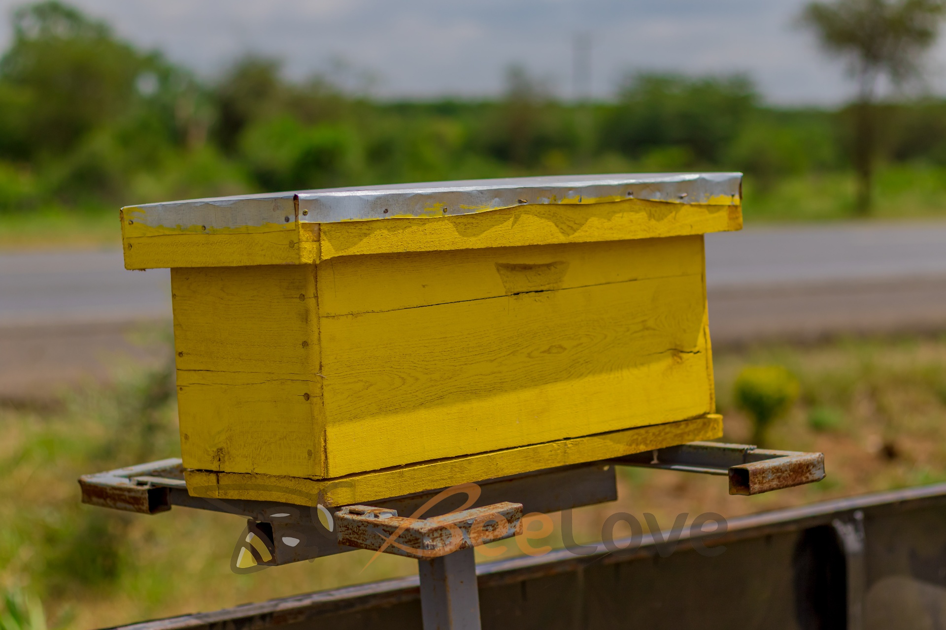 Swarm Catcher Box
