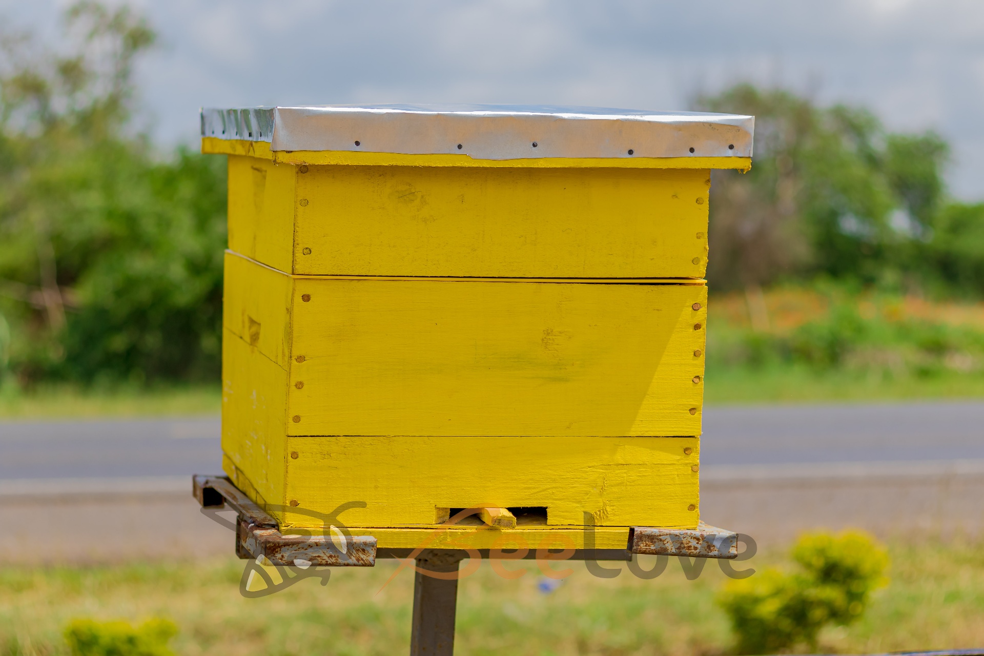 Langstroth Hive (10-frame)