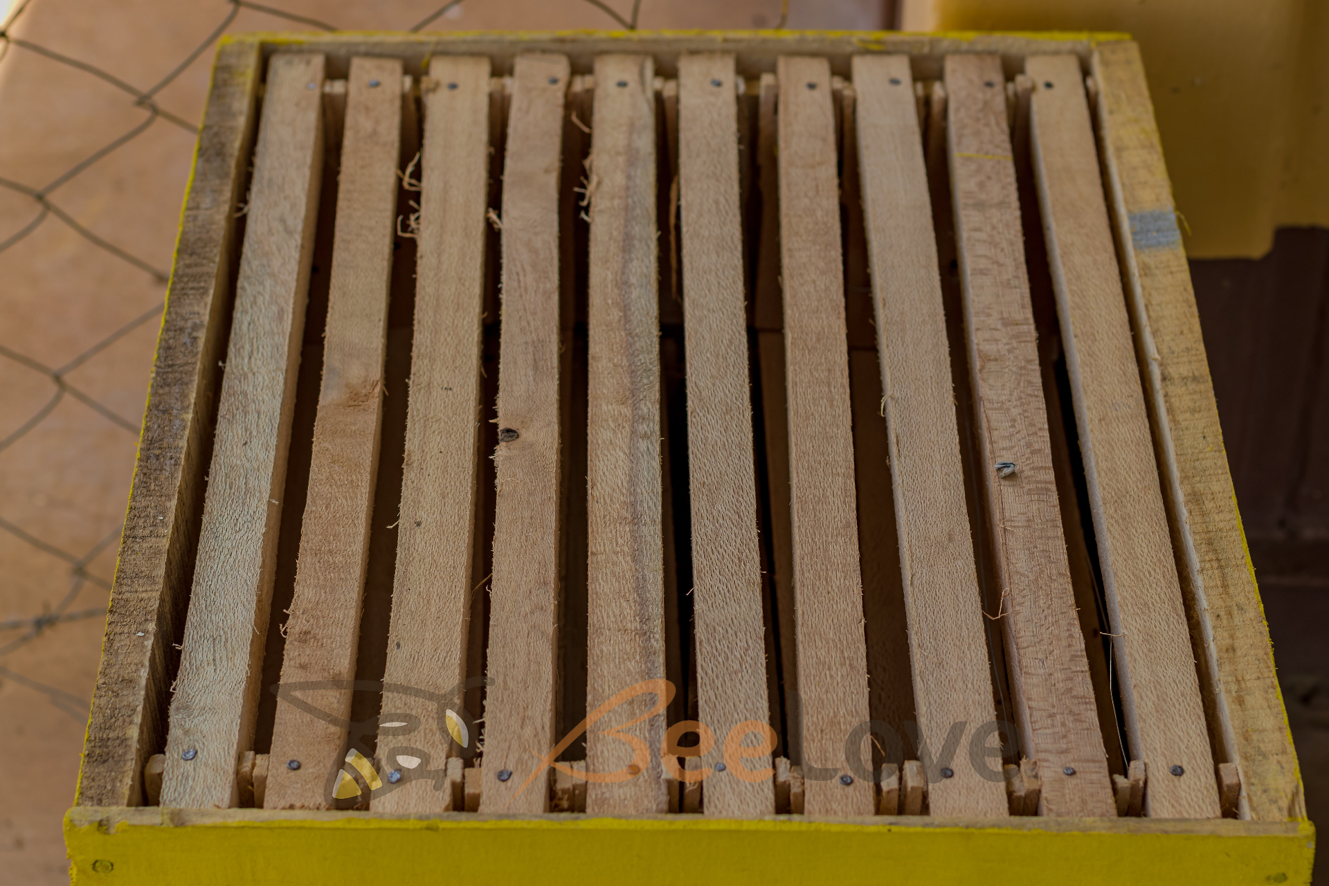 Bee Feeder